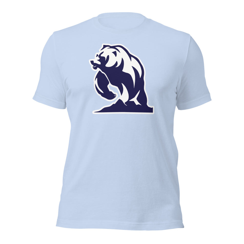Baby Blue Design 3
