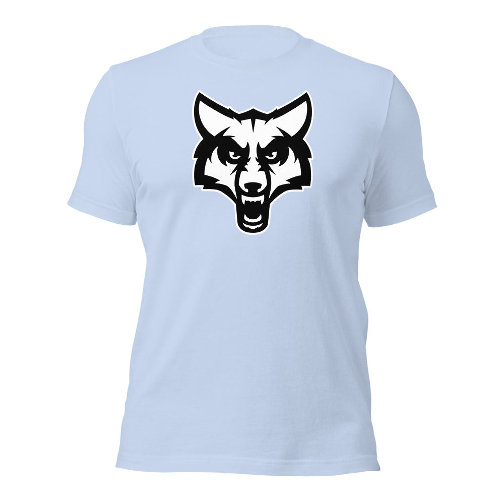 Baby Blue Design 2