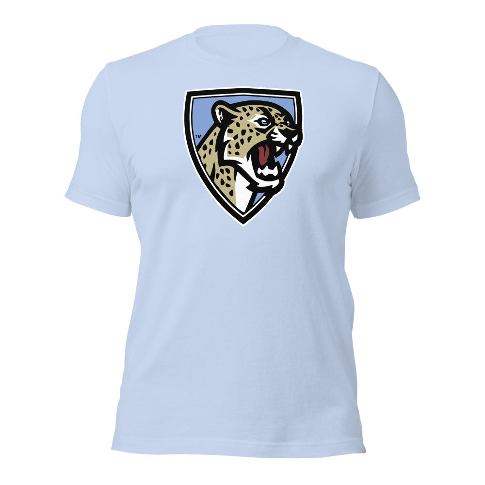 Baby Blue Design 2