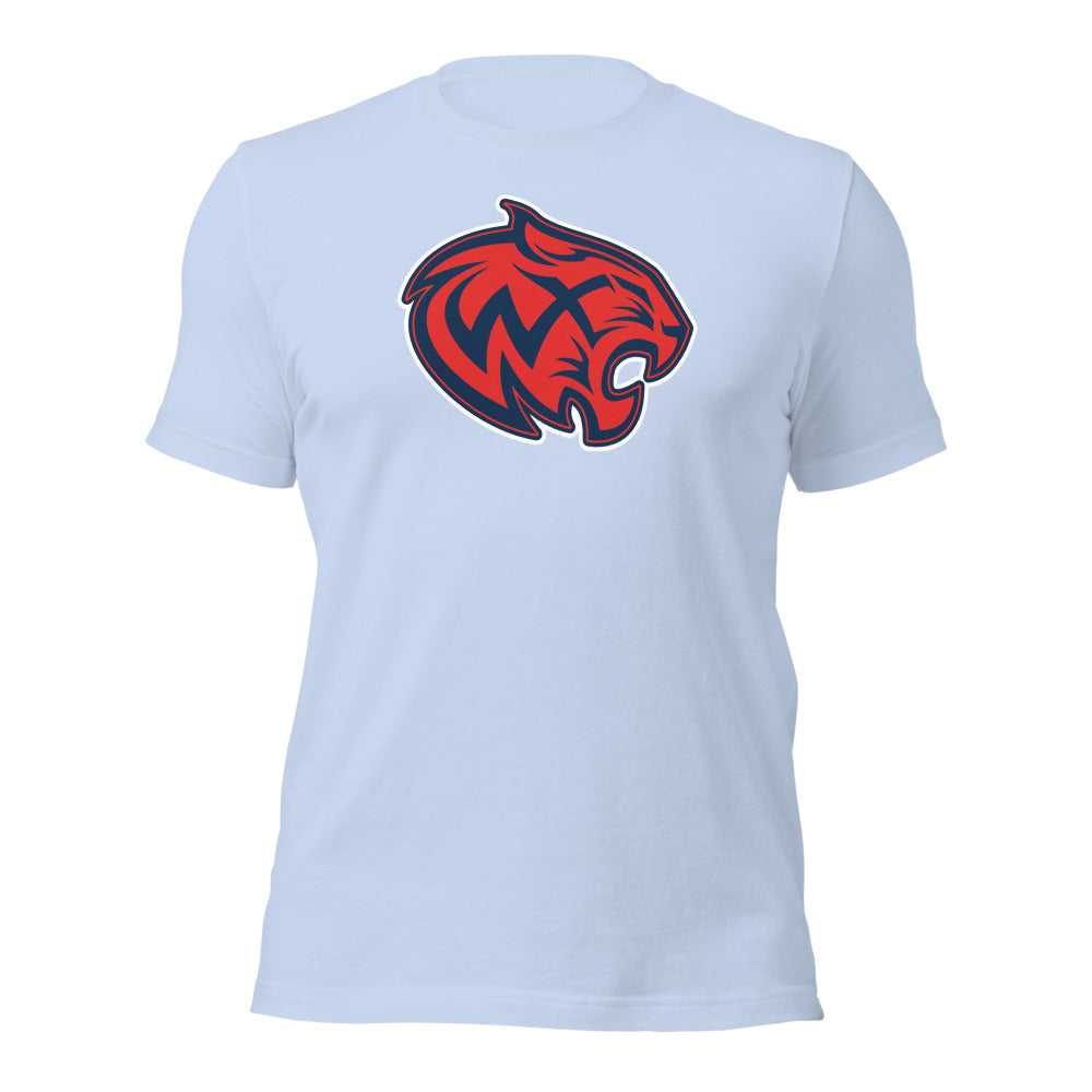 Baby Blue Design 2