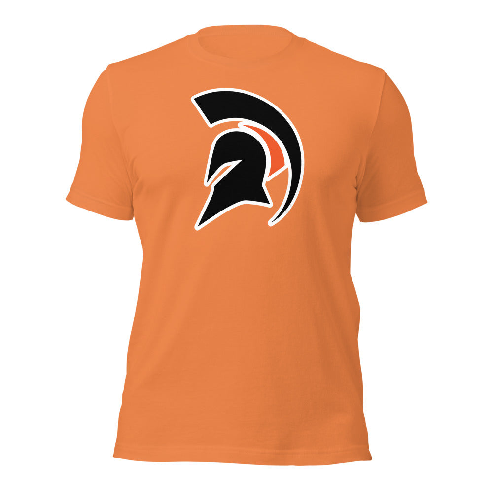 Burnt Orange Design 3