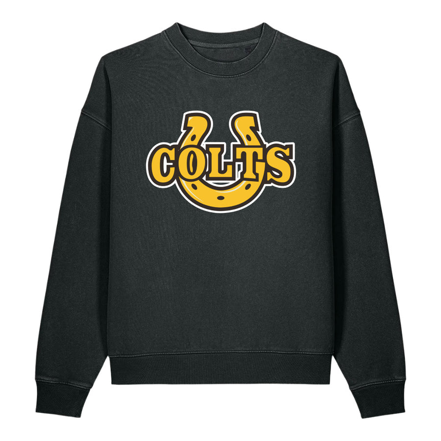 Vintage Garment-Dyed Easer Sweatshirt