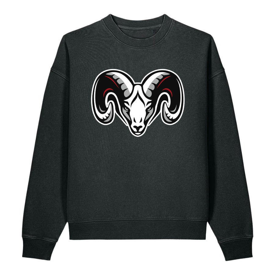 Vintage Garment-Dyed Easer Sweatshirt