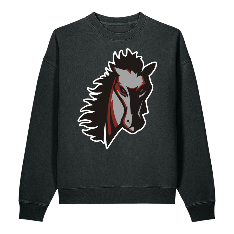 Vintage Garment-Dyed Easer Sweatshirt