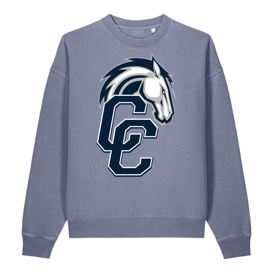 Vintage Garment-Dyed Easer Sweatshirt