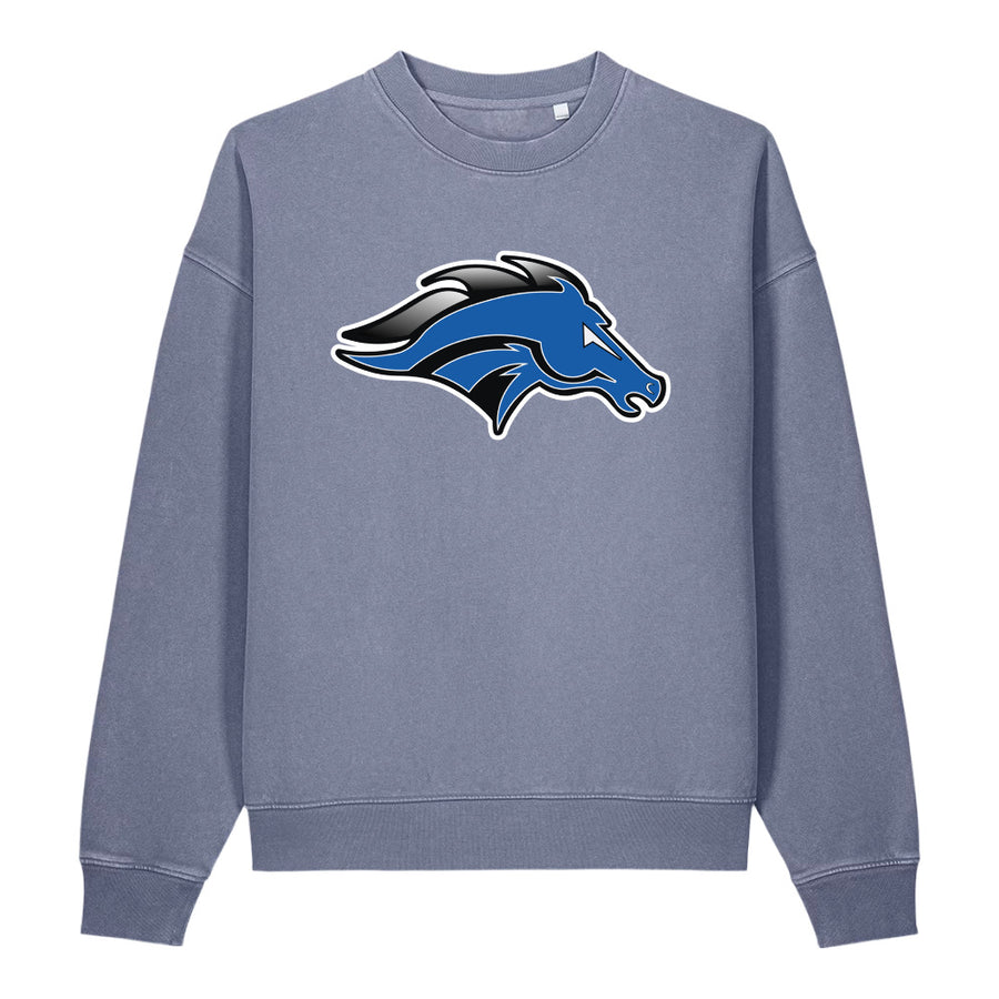 Vintage Garment-Dyed Easer Sweatshirt