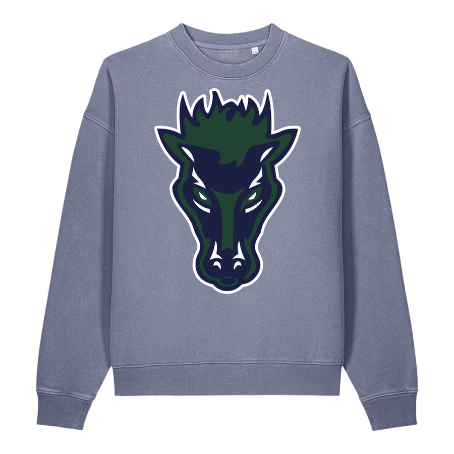 Vintage Garment-Dyed Easer Sweatshirt